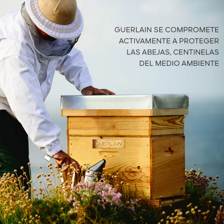 ABEILLE ROYALE Huile baume de jeunesse réparatrice intense 80ml