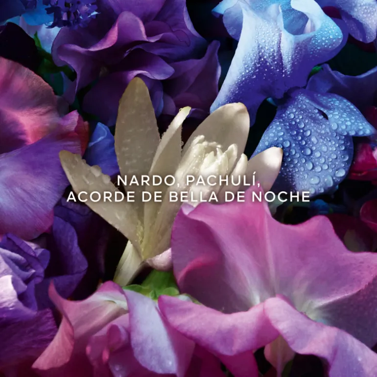 Absolus Allegoria Florabloom Eau de Parfum