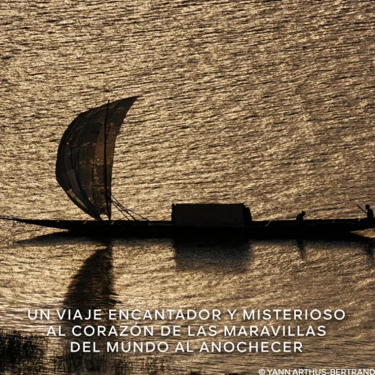 Absolus Allegoria Rose Amira Eau de Parfum