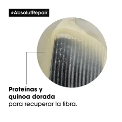 Absolut Repair Gold Shampooing 300ml