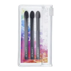 Applicateurs D'Ombres À Paupières En Éponge