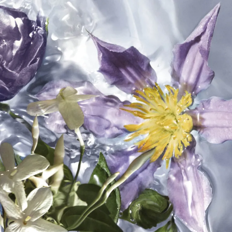 AQUA ALLEGORIA Flora Salvaggia Eau de Toilette