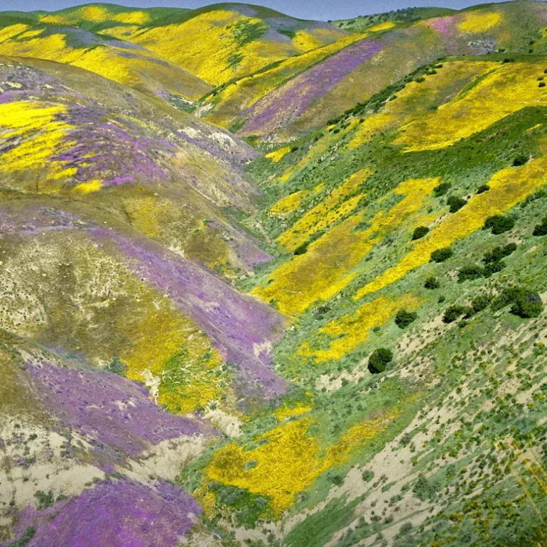 AQUA ALLEGORIA FORTE FLORABLOOM EAU DE PARFUM