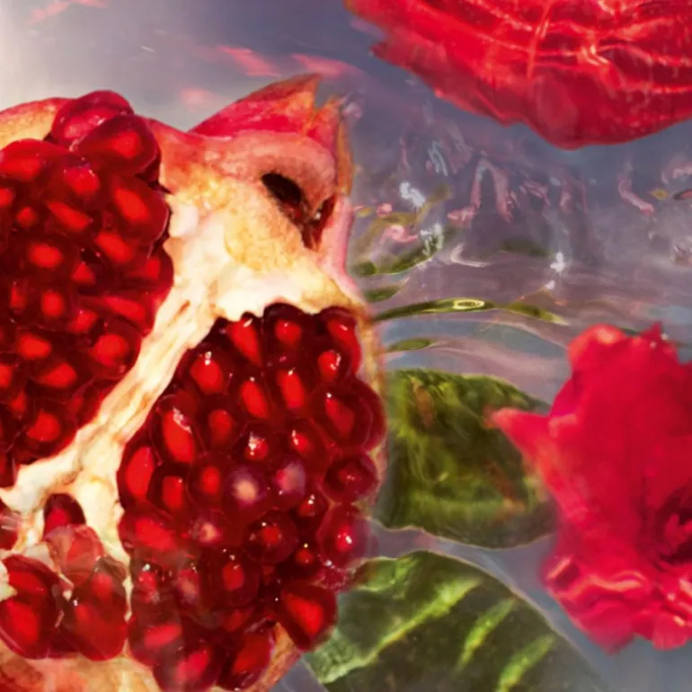 Aqua Allegoria Granada Salvia Eau de Toilette