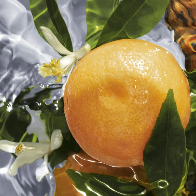 Aqua Allegoria Pamplelune Eau de Toilette