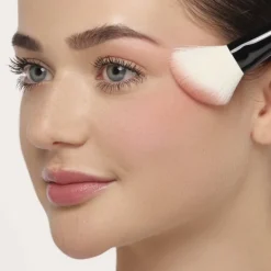 Blusher Brush Premium Quality