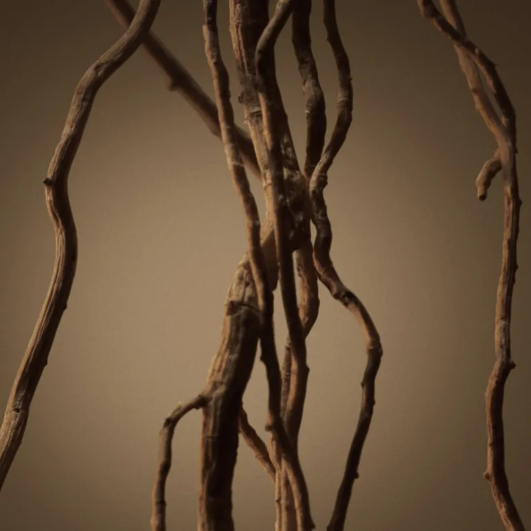 BOSS BOTTLED EAU DE PARFUM