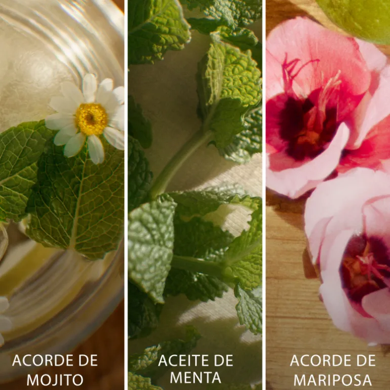 BRISA CUBANA EAU DE TOILETTE ÉDITION LIMITÉE