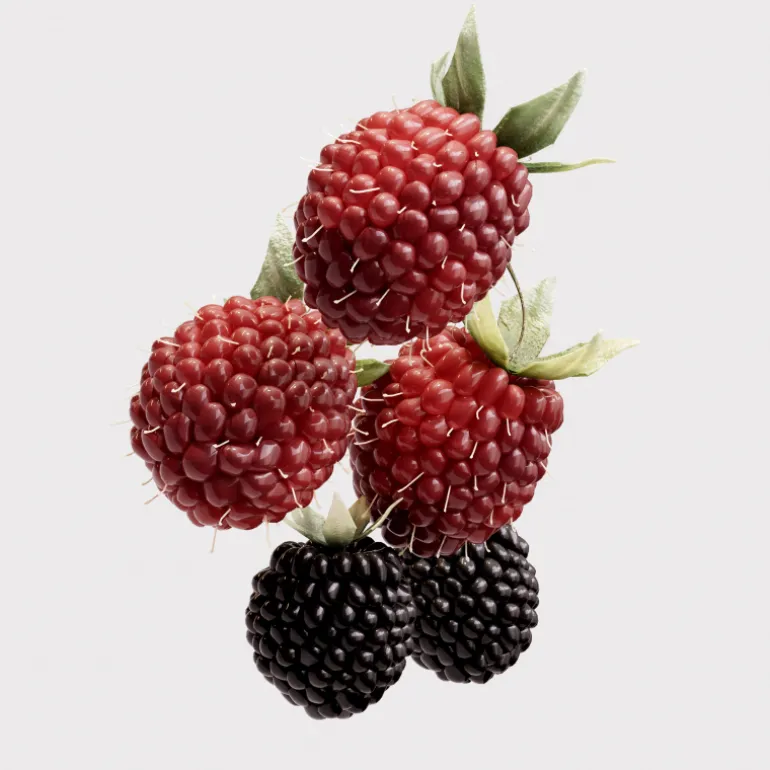 BURBERRY HER Eau De Parfum