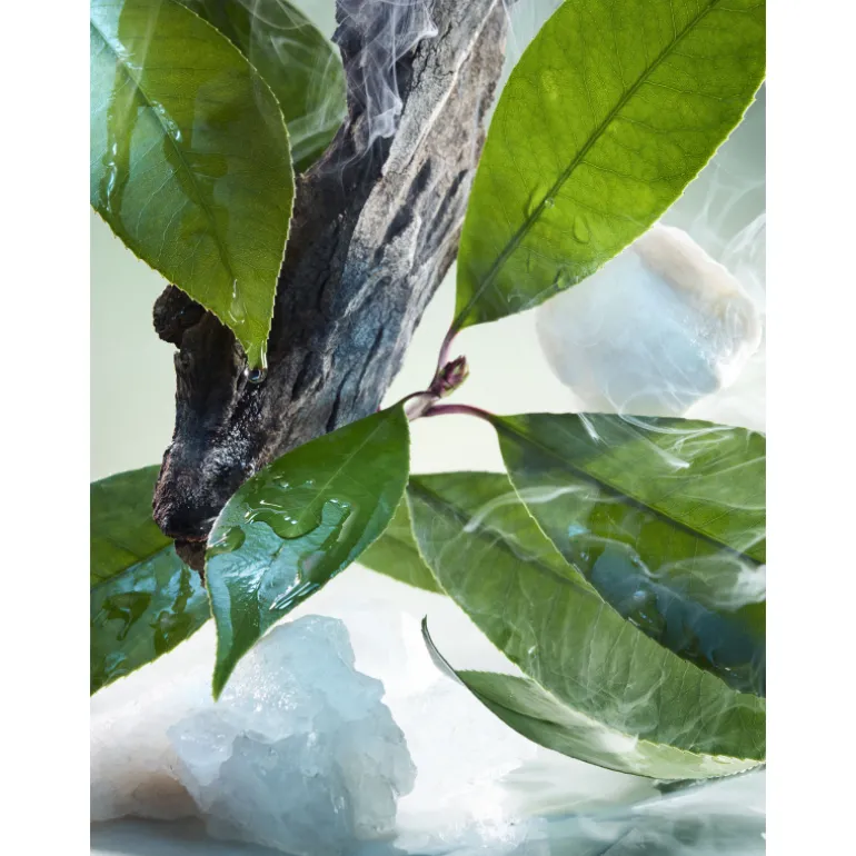 BVLGARI POUR HOMME EAU DE PARFUM