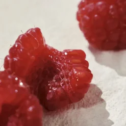 Chloé L'Eau de Parfum Intense pour Femmes