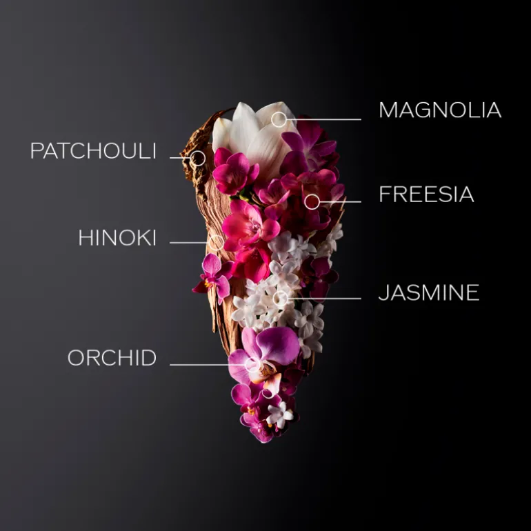 COFFRET GINZA EAU DE PARFUM HOLIDAY