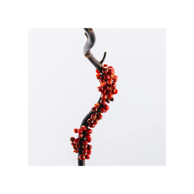 Coffret Loewe 7 Eau de Toilette