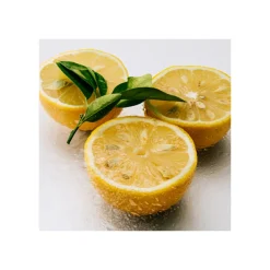 Coffret Loewe Agua Eau de Toilette