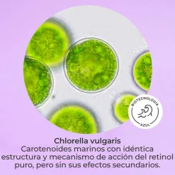 COFFRET SEGLE RETINOL