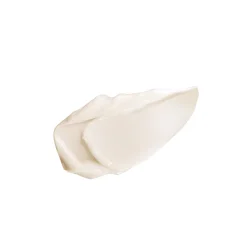 CRÈME HYDRATANTE ANTI-ÂGE ESSENTIAL SHOCK INTENSE CREAM NATURA BISSÉ