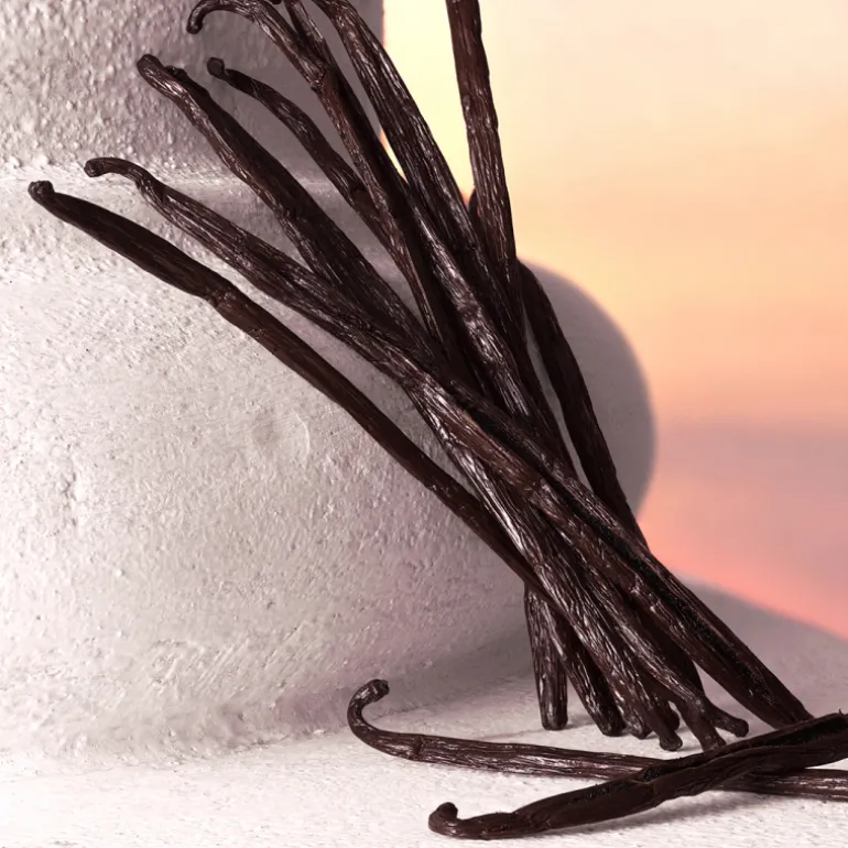 Devotion Eau de Parfum Intense