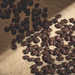 Devotion Pour Homme Parfum