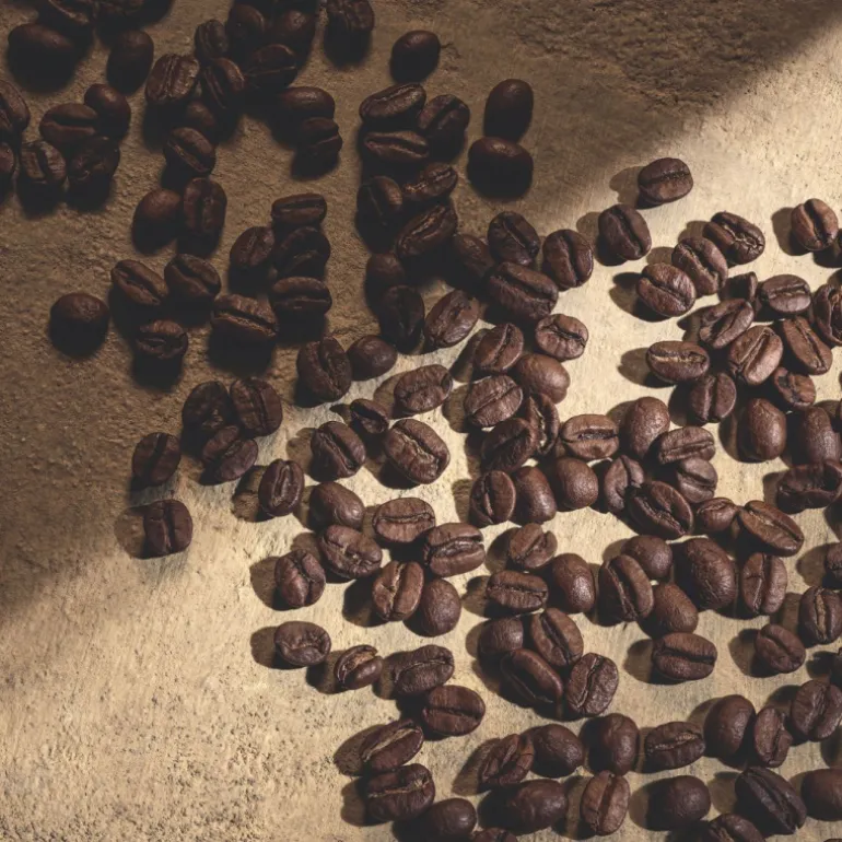 Devotion Pour Homme Parfum