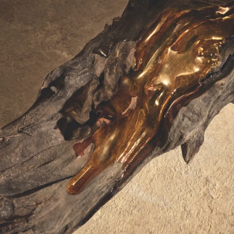 Devotion Pour Homme Parfum