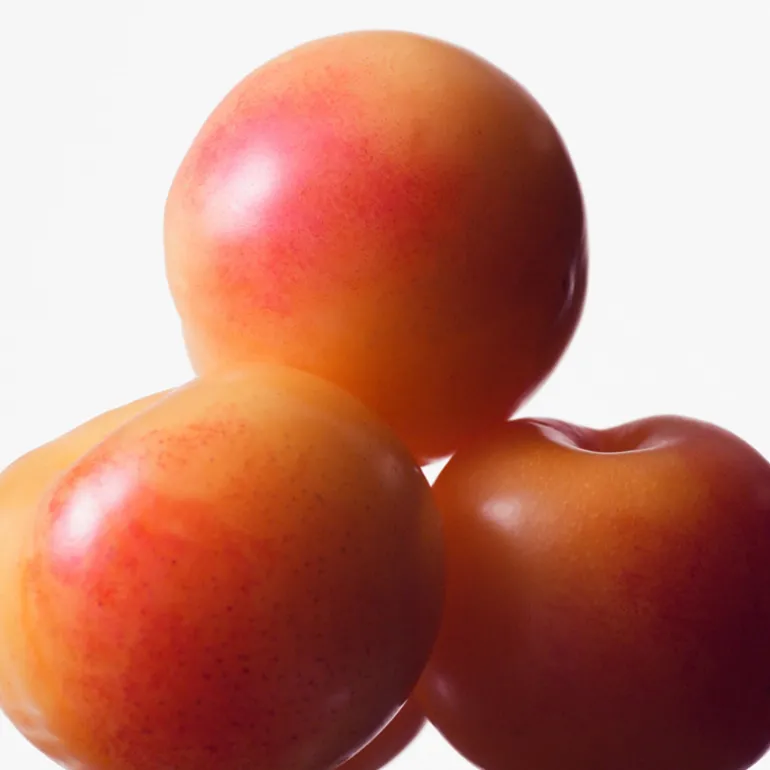 Euphoria Eau De Toilette Vapourisateur