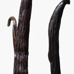 Euphoria Eau De Toilette Vapourisateur