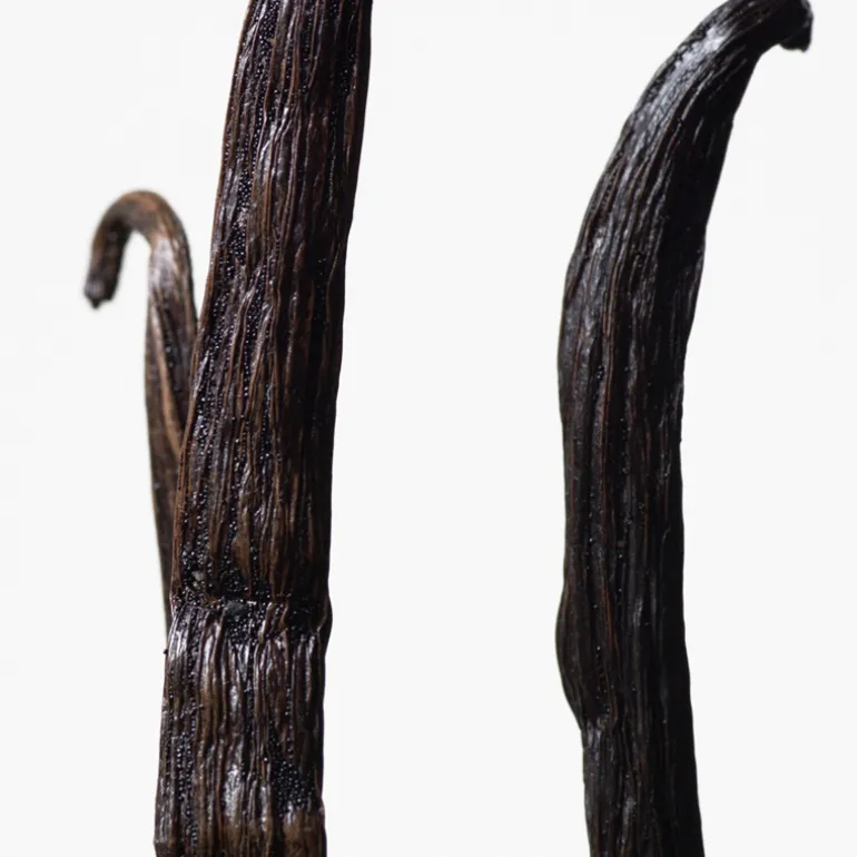 Euphoria Eau De Toilette Vapourisateur