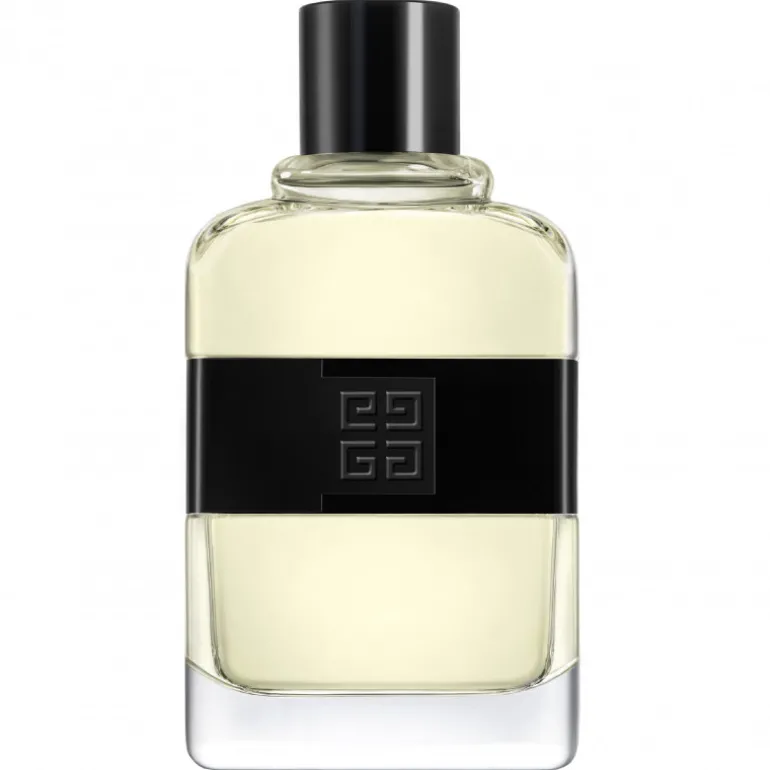 GIVENCHY GENTLEMAN EAU DE TOILETTE VAPORIZATEUR PERFUME HOMBRE