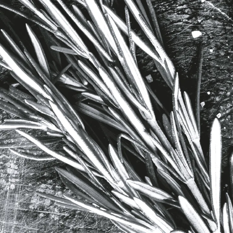 IN ABUNDANCE EDP VAPOURISATEUR