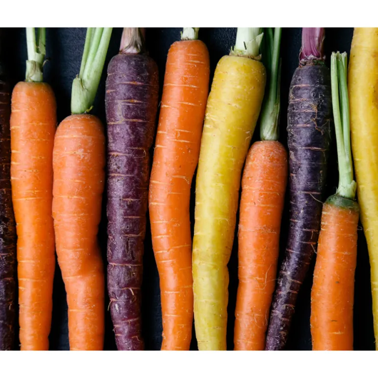 Kiehl's Creamy Eye Treatment with Avocado Crème Contour des Yeux Hydratante