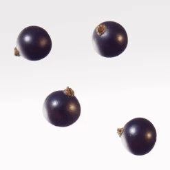 L.12.12 Eau Fraiche Woman Eau De Toilette Vapourisateur