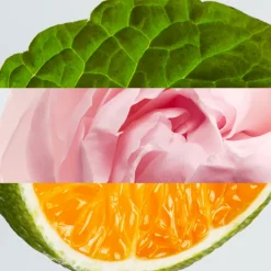 L.12.12 WOMAN PURE ROSE EDP VAPOURISER 100ML