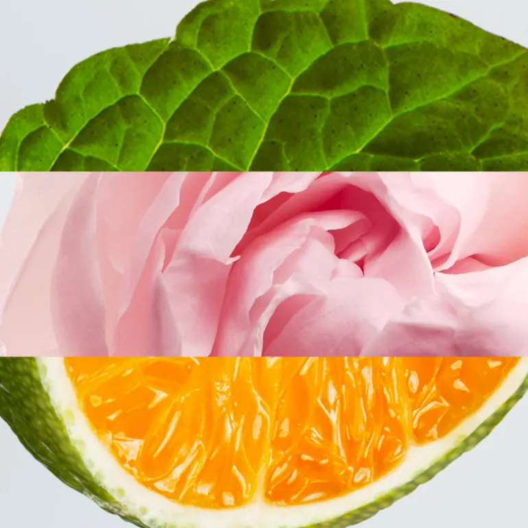 L.12.12 WOMAN PURE ROSE EDP VAPOURISER 100ML