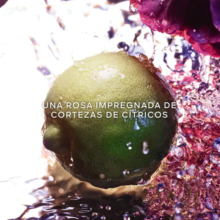 La Petite Robe Noire Coffret Eau de Toilette