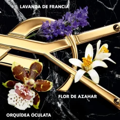 Libre Eau de Parfum Intense