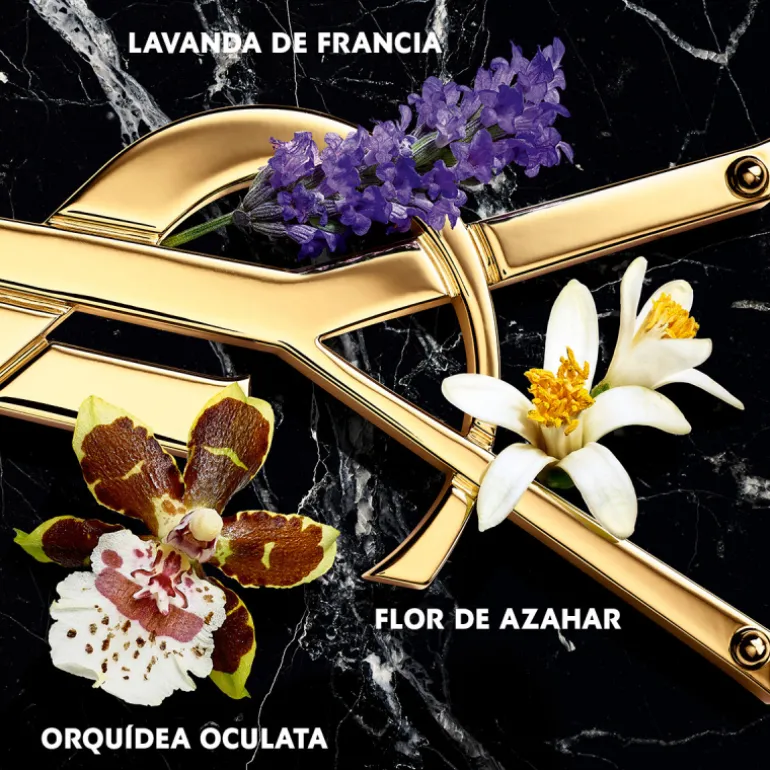 Libre Eau de Parfum Intense