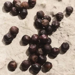 Light Blue Pour Homme Capri In Love Eau de Parfum Édition Limitée