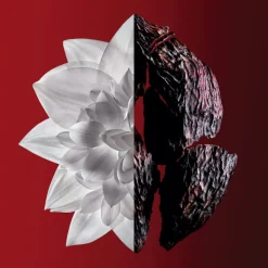 L'INTERDIT EAU DE TOILETTE VAPORISATEUR