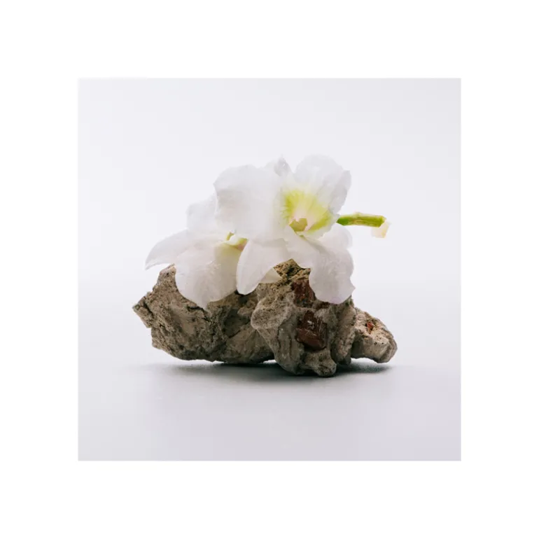 LOEWE A MI AIRE EDT 100 ML