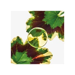 LOEWE ESENCIA ELIXIR