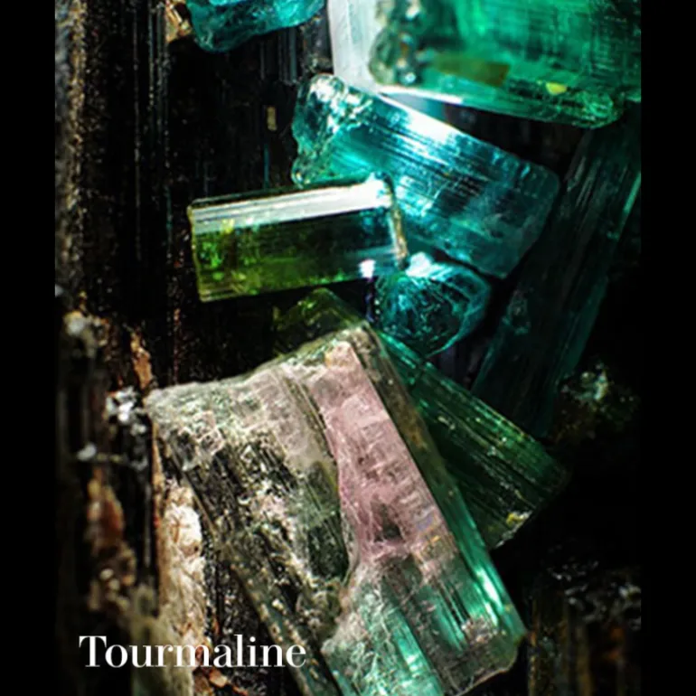 LOTION HYDRATANTE POUR LE VISAGE THE CALMING LOTION CLEANSER