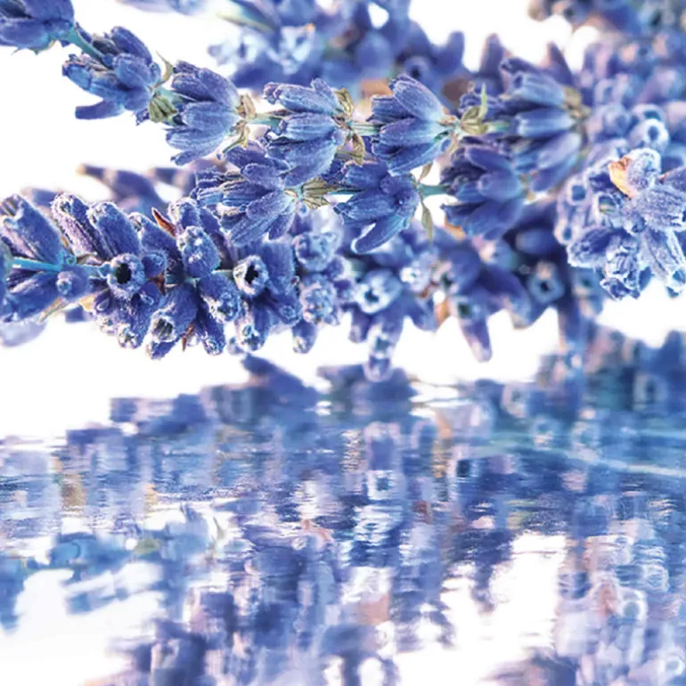 Mon Guerlain Coffret Eau de Parfum