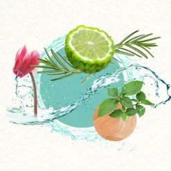 MOOD FOR A DREAM MAN EAU DE TOILETTE ÉDITION LIMITÉE