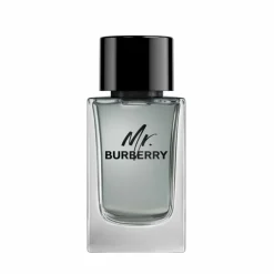 MR BURBERRY EDT V