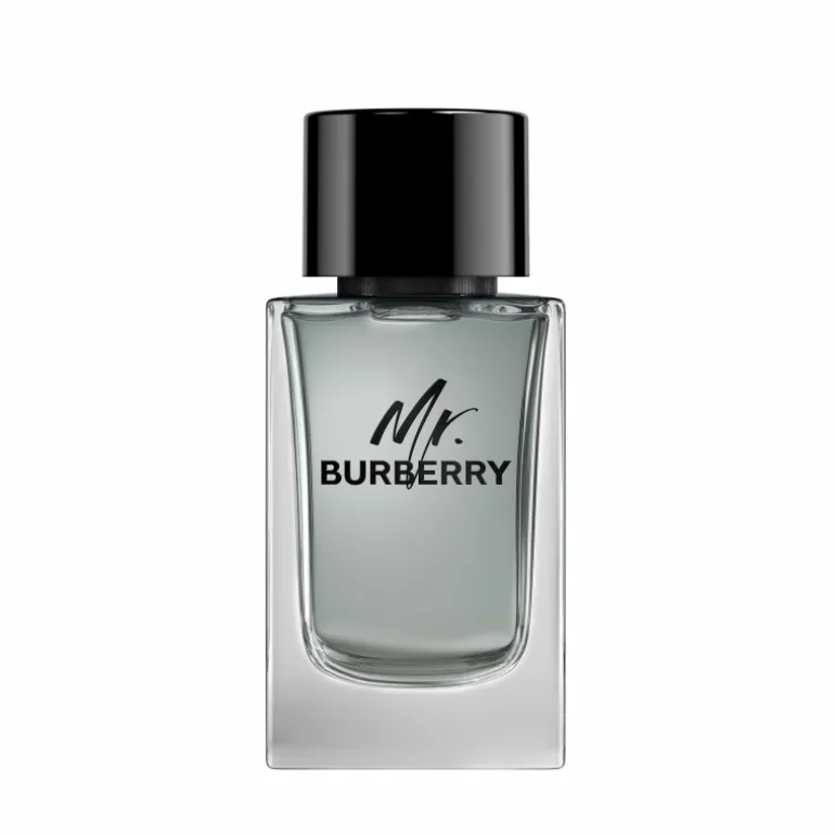 MR BURBERRY EDT V