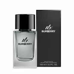MR BURBERRY EDT V