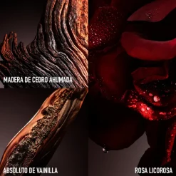 ONE MILLION ELIXIR EAU DE PARFUM