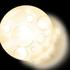 Orchidée Impériale L'huile Fondamentale