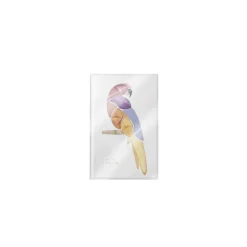 Parrot Ombre à Paupières