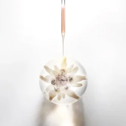 PRODIGY CELL GLOW FIRMING CREMA